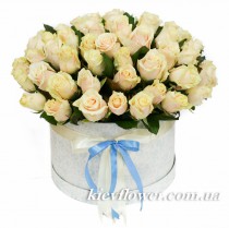 Boxed roses 
